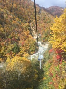 IMG_4785.jpg