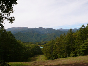 P1030355.JPG